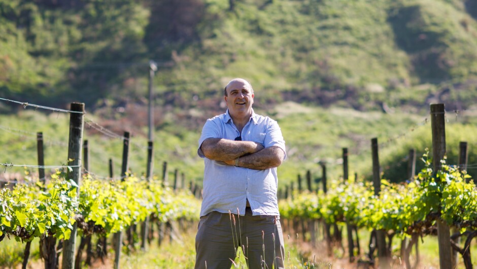 In the vineyard