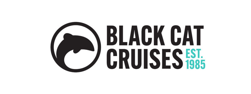 black-cat-logo-rgb-digital_0.jpg