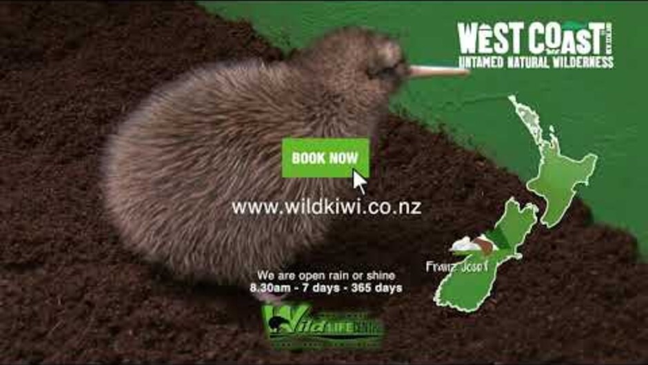 15 Second Film -West Coast Wildlife Centre - Franz Josef - a wonderful indoor visitor attraction in beautiful Franz Josef where you can see a famous kiwi hatching and incubation facility.