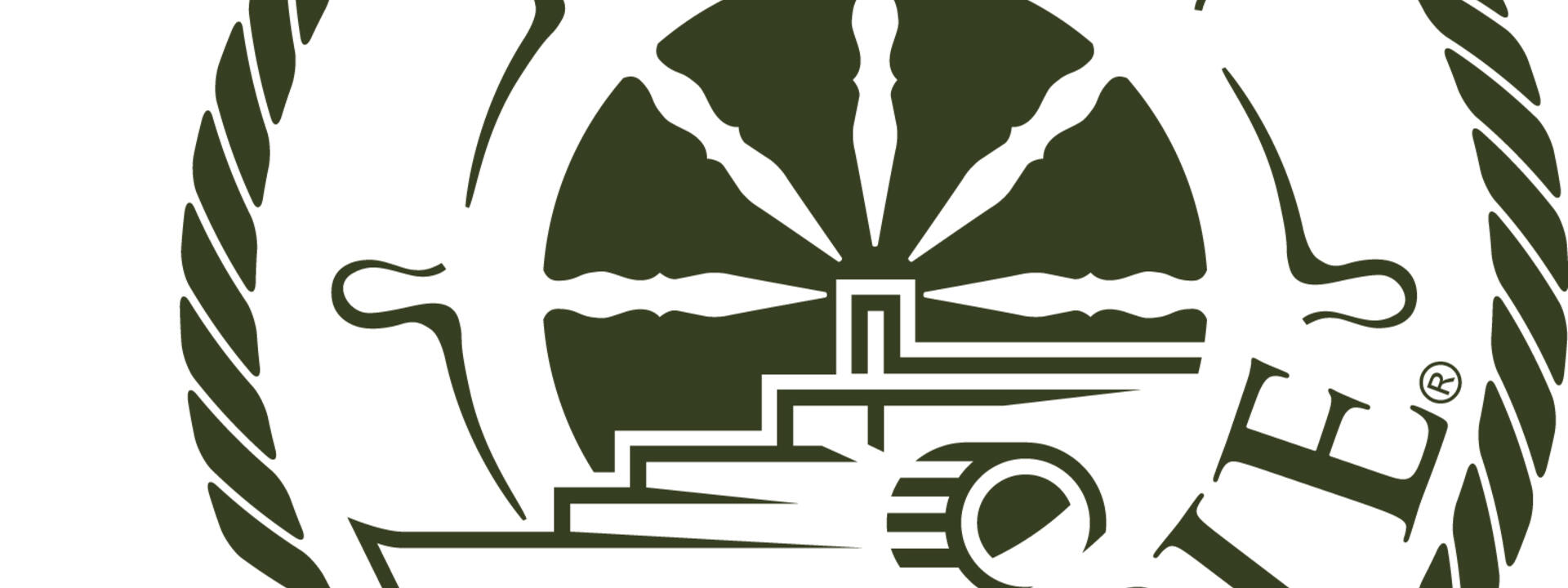 waimarie-logo-variation-turtle-green-high-res.jpg
