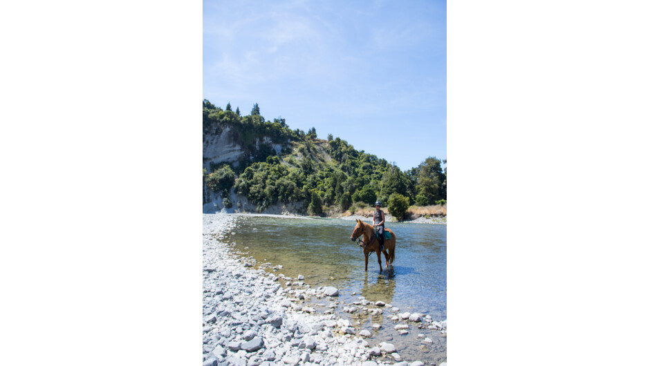 A 2 day Lodge to Lodge horse trek with River Valley Ventures.