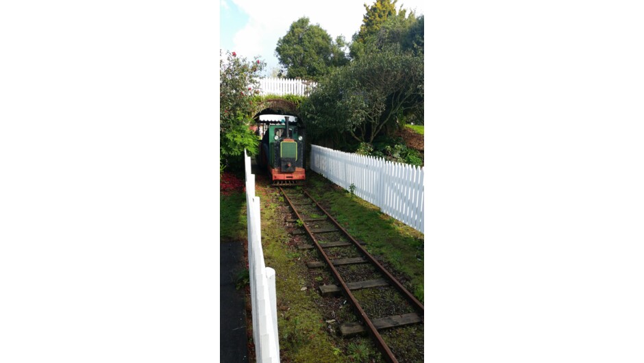 Kaimai Train. Rides available- pre booked