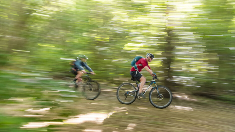 Two bikers riding along the Queen Charlotte Track through native bush.