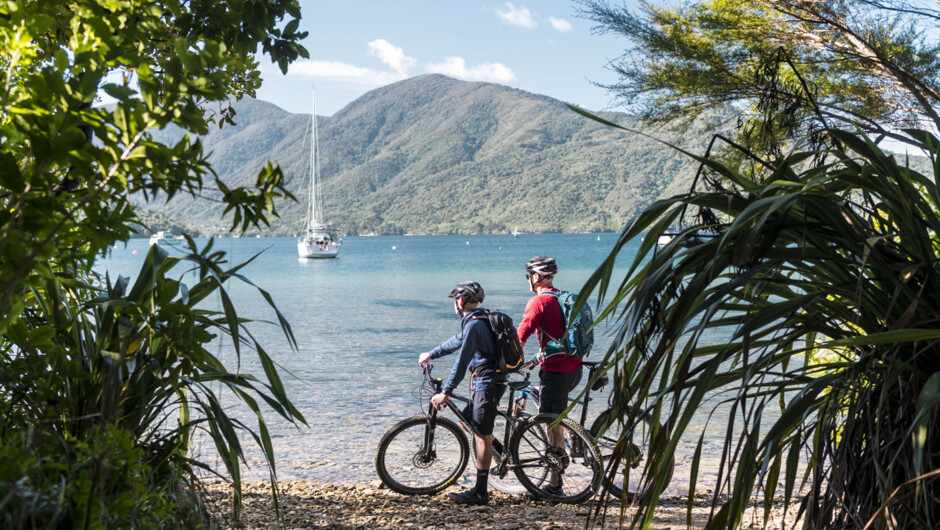 Bikers admiring the scenic water views along the Queen Charlotte Track.