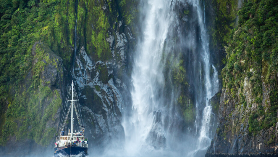 Milford Sound day cruise