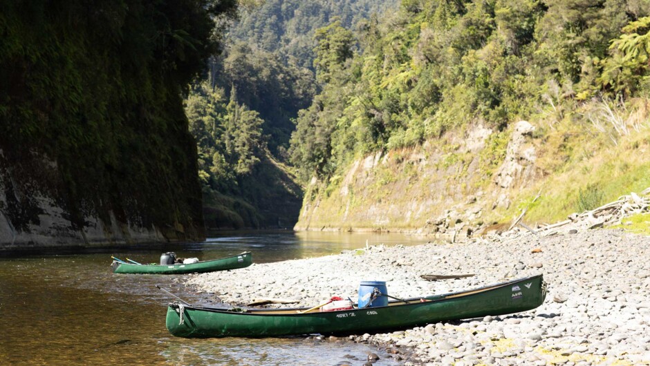Whanganui River Guided Canoe Tour with Adrift Tongariro