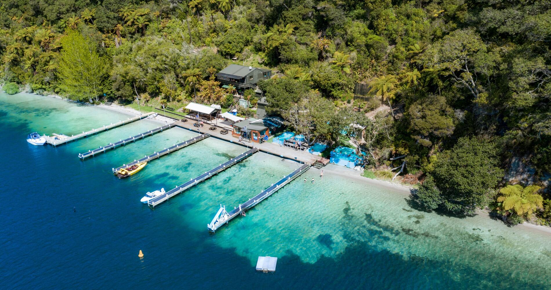 Lake Rotoiti Hot Pools by Jet Boat | Activities & Day Trips in Rotorua ...