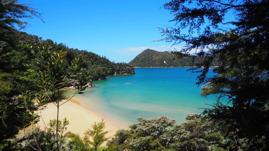 Abel Tasman National Park's beaches, just as stunning as the Mediterranean