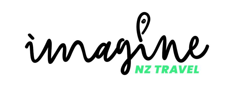 imagine-nz-cmyk-300dpi-black-teal-whitebkg.jpg