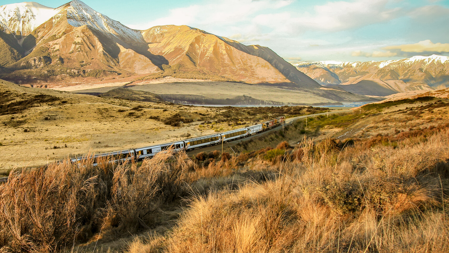 Alpine Trans Train TranzAlpine Train | Transport in Christchurch - Canterbury, New Zealand