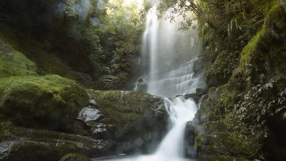 The beautiful Waitanguru Falls are a quick 5 minute drive away and they are one of the many stunning scenic attractions we have in our local area.