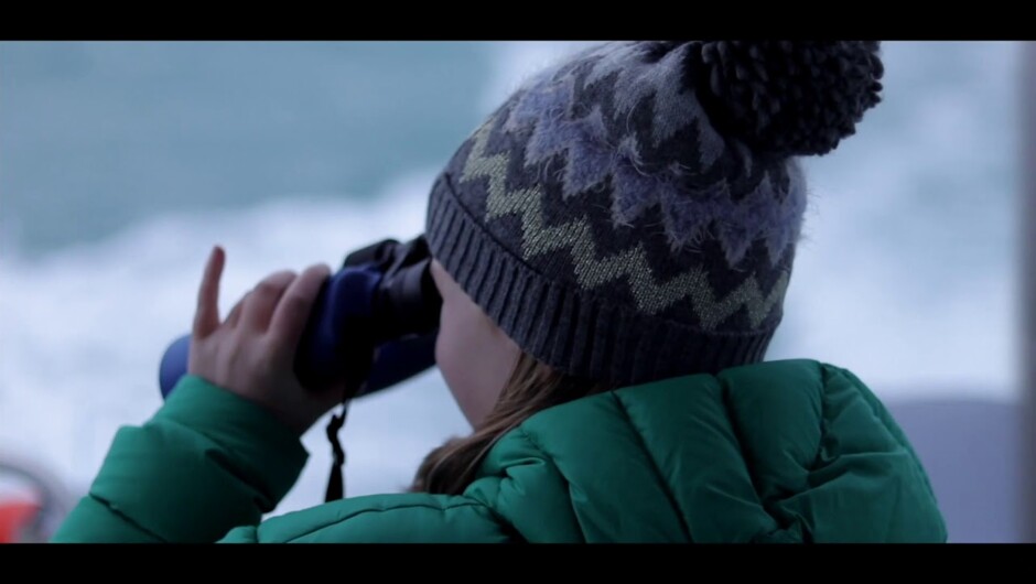 Port To Port Wildlife Cruises &amp; Tours, a snapshot of a winter wildlife cruise