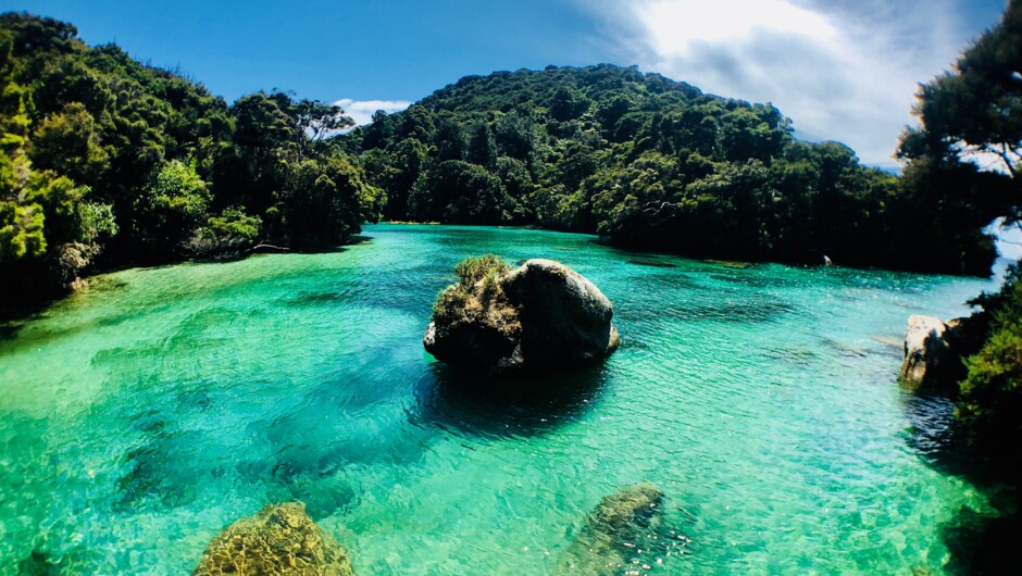 Shag Harobur, Abel Tasman National Park