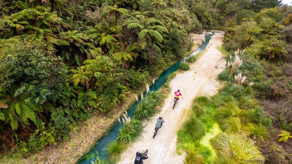 E-biking along a geothermal spring (Wairakei Resort Track).
