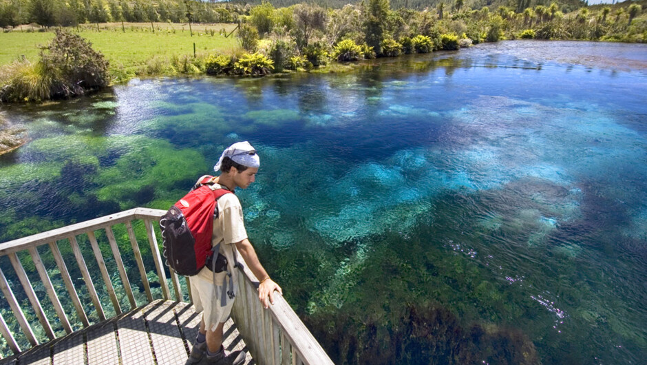 Te Waikoropupu Springs - New Zealand's largest freshwater springs and the largest cold water springs in the southern hemisphere. Enjoy a short 30-minute loop walk taking you through the forest to a platform that sits partly over the water of Te Waikoropup