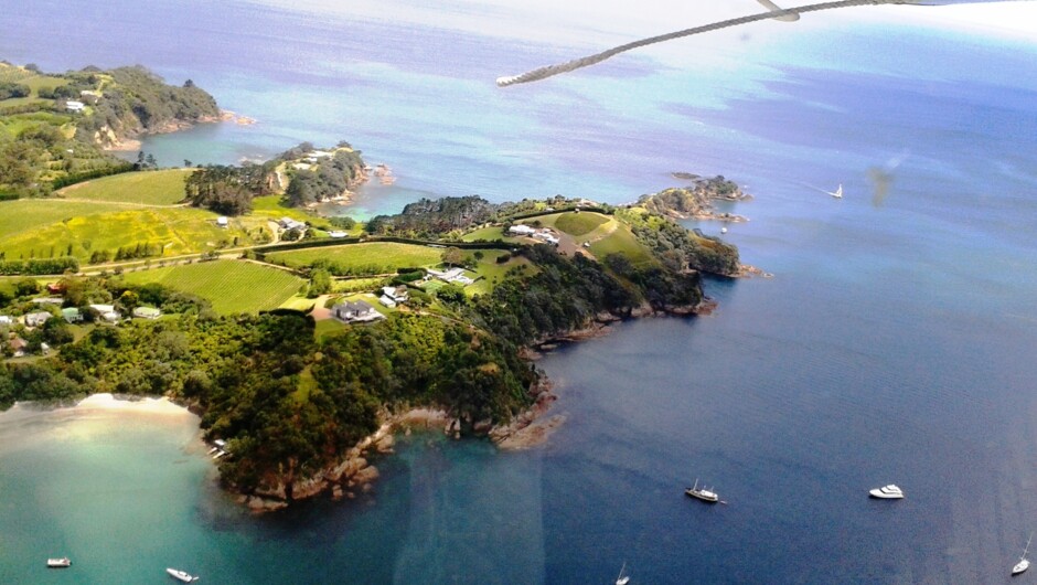 Indulge yourself in an experience of a life time as Susan and John immerse you in the real culture of Waiheke Island, meeting the most interesting people who are passionate about their very special and unique island paradise.