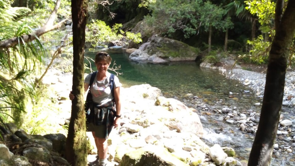 Explore in a sub-tropical forest.