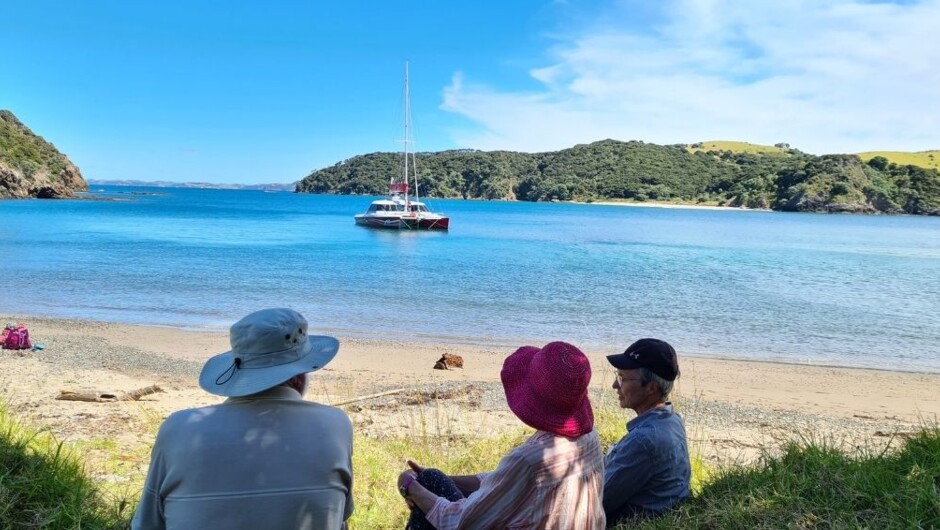 Relax on a wildlife sanctuary island in the Bay with our day tour