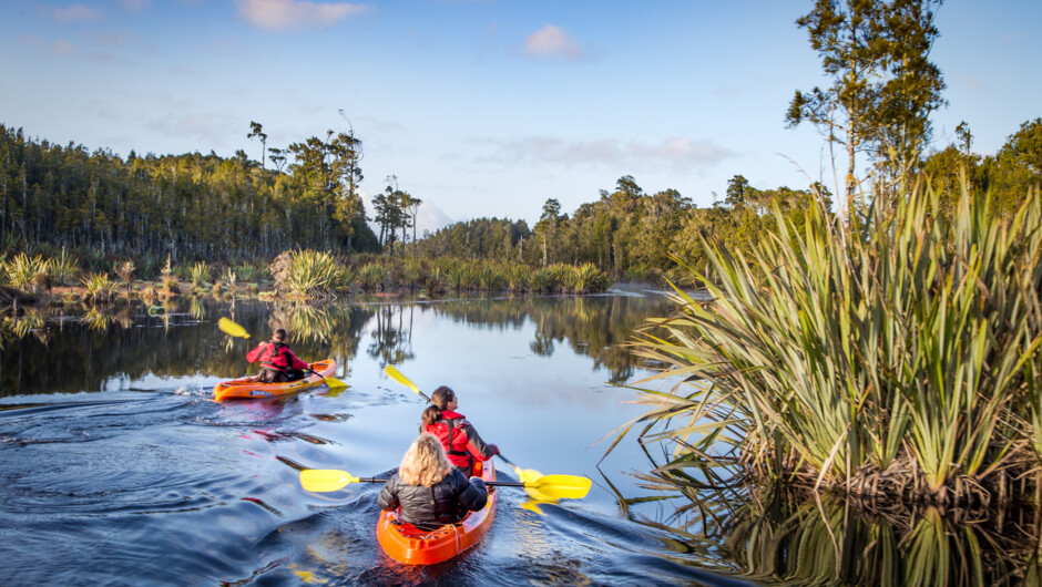 Kayak through one of New Zealand's highly-valued and beautiful lowland Wetlands