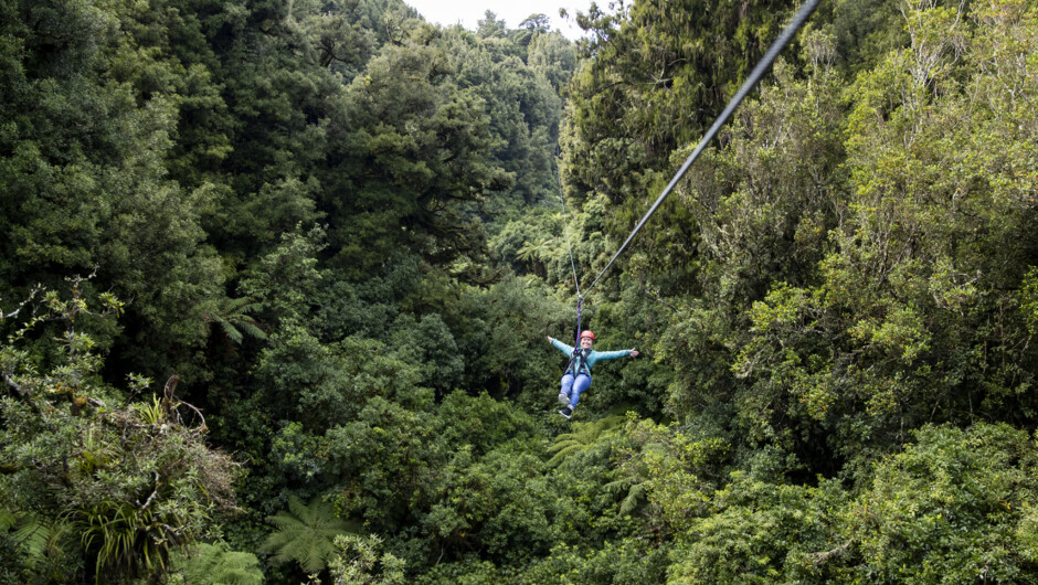 The Ultimate Canopy Experience