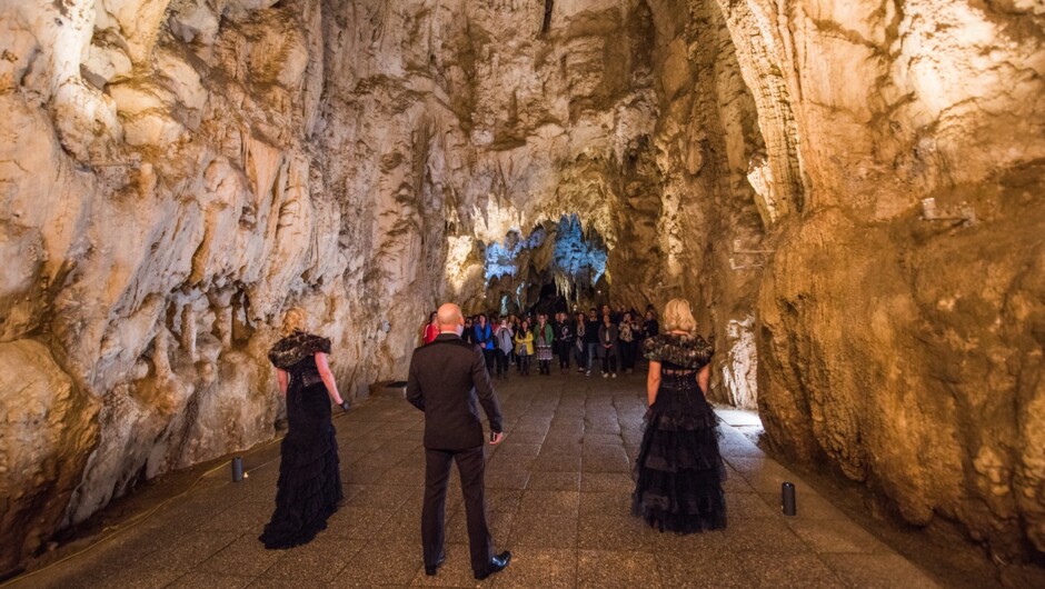 Waitomo Glowworm Caves