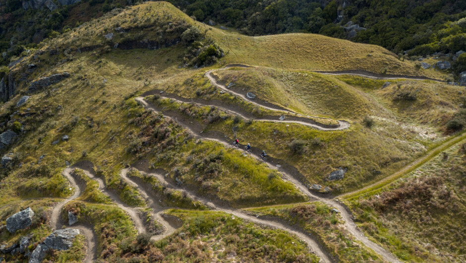 Bike Glendhu's lower mountain trails offer a good variety of green and blue tracks.