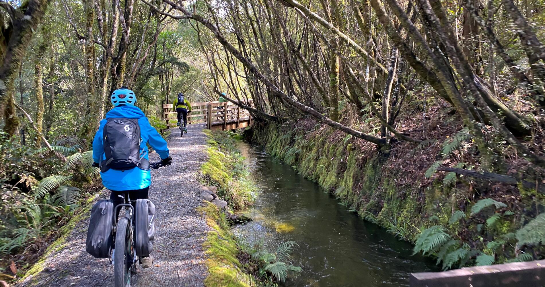 West Coast Wilderness Trail - Gorge on Cycle and Scenery | Activities