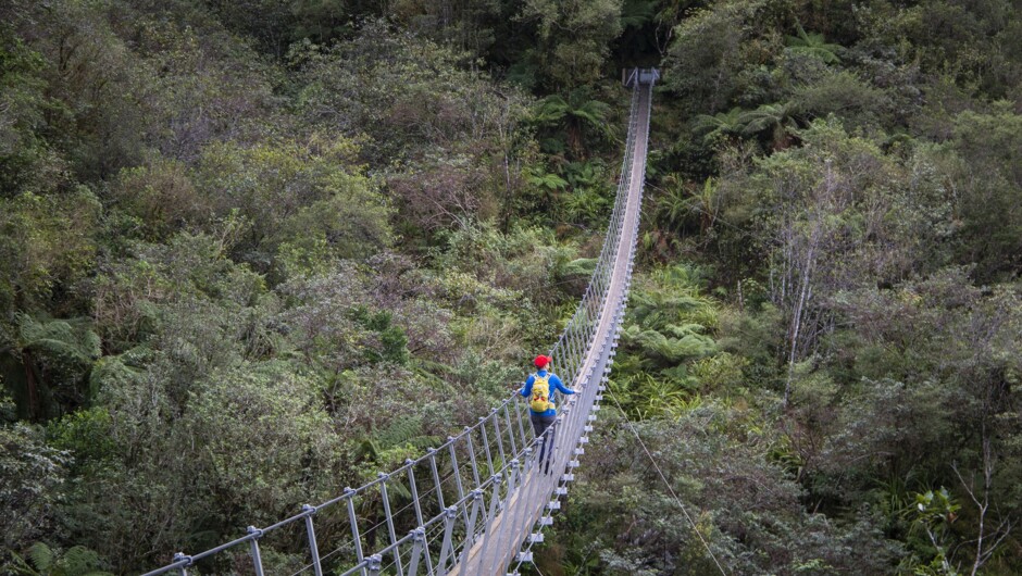 Swing Bridge - Franz Josef Full Day tour with Glacier Valley Eco Tours