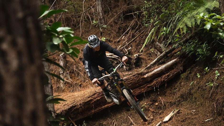 Get out for an adventure on two-wheels when you visit Northland.