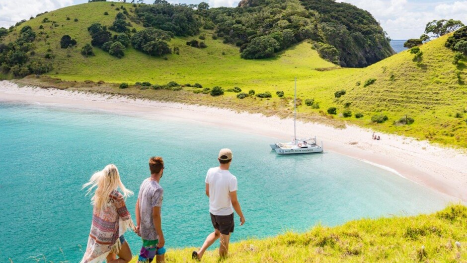 Island walks along open tracks with great view points on the Lagoon Bay Cruise.