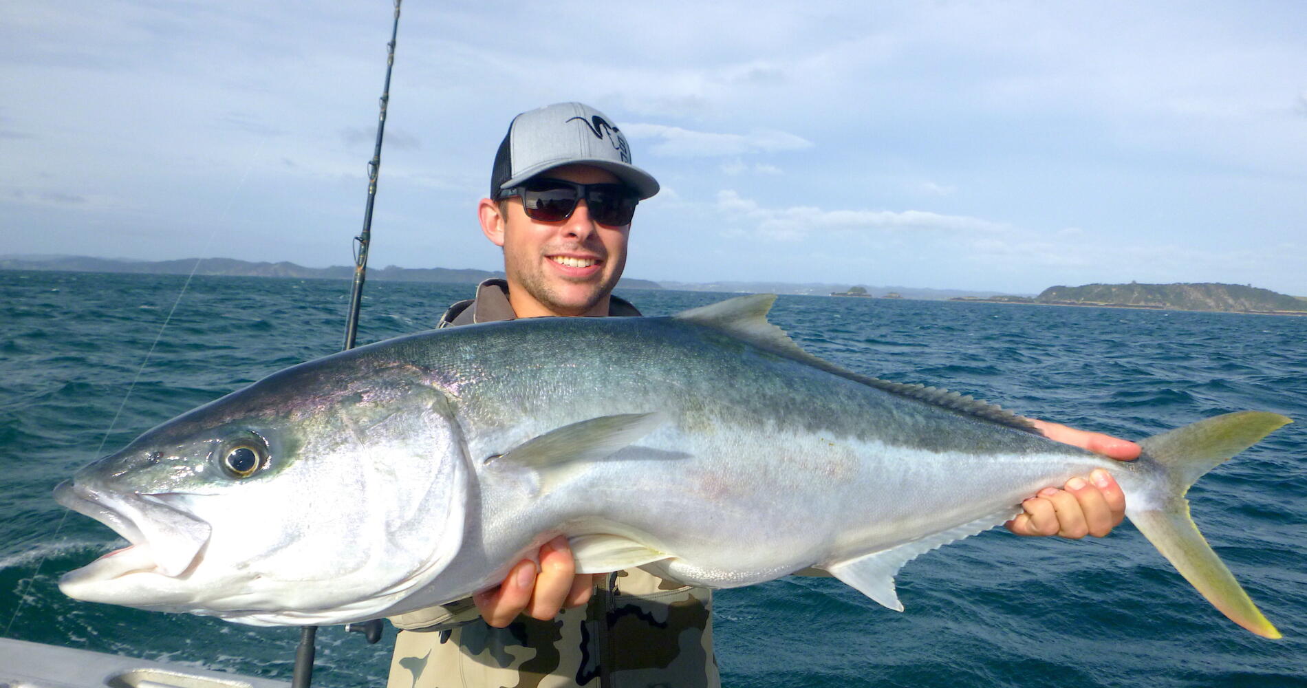 Fish Bay of Islands | Activities & Day Trips in Northland & Bay of ...