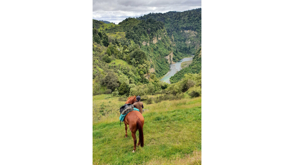 Amazing views of the Rangitikei River.