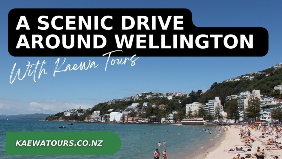 Scenic drive around Wellington's beautiful Eastern and Southern Bays.