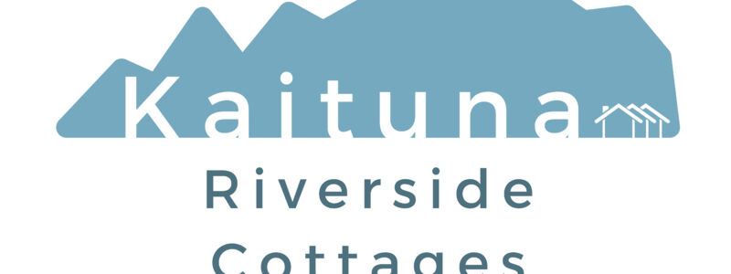 Final Logo Social TS Background.png