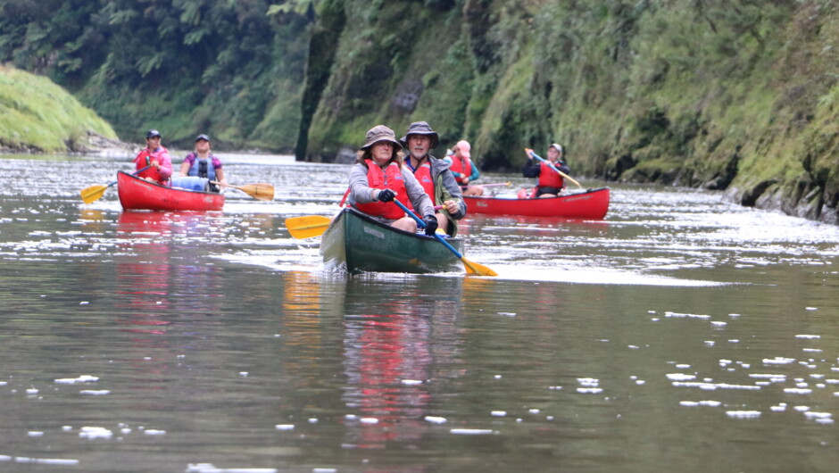 Paddling the Whanganui River