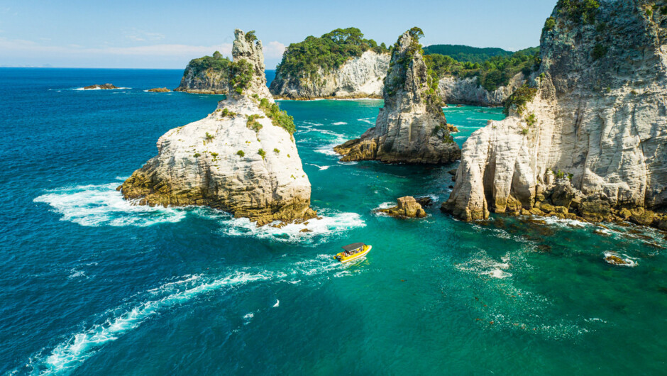Explore Champagne Bay from the comfort and safety of Ocean Leopard Tours