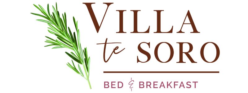 0117 Villa Te Soro LOGO B&amp;B FINAL PRINT.jpg