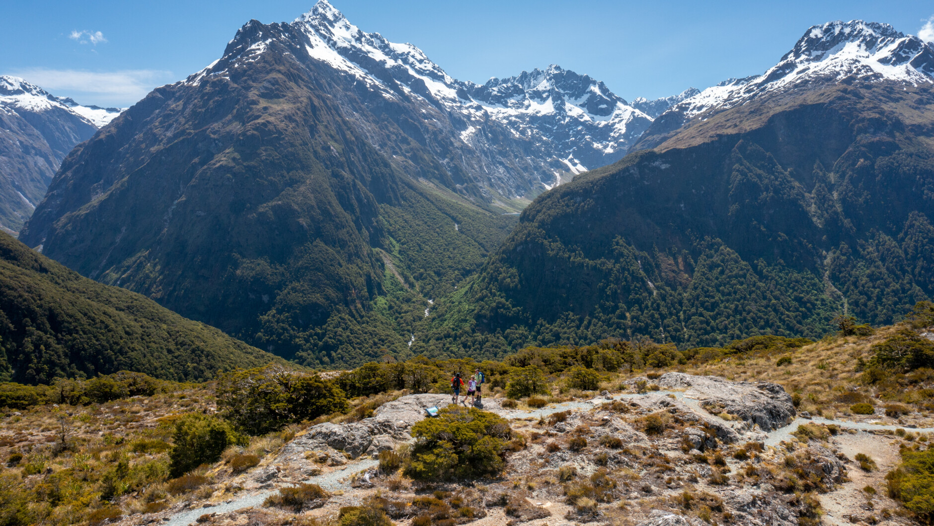 Routeburn Track, Key Summit Guided Walk - Trips & Tramps | Activity in Fiordland, New Zealand