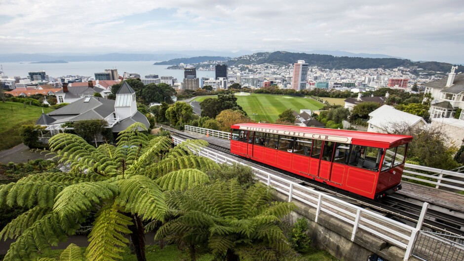 New Zealand's capital city of Wellington, city view tram