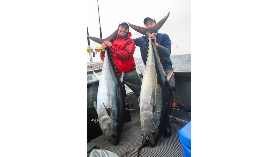 Southern Bluefin tuna are abundant during winter, and are one of the nicest eating fish.