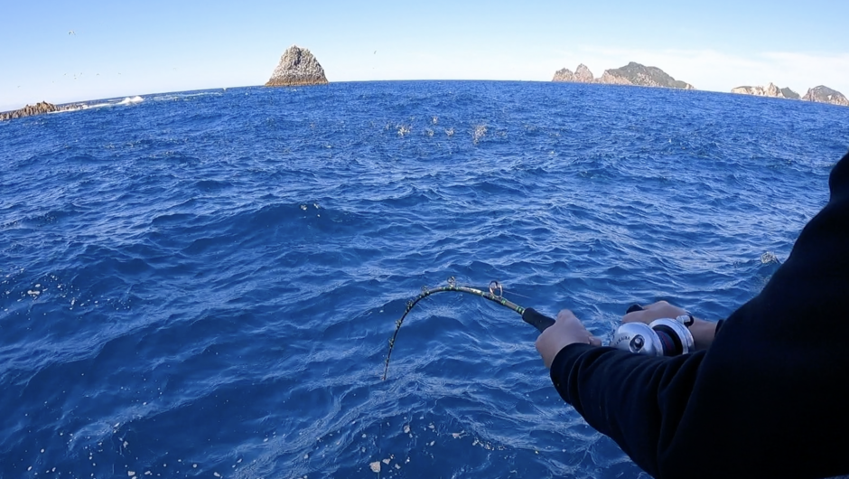 New Zealand - a fishing paradise! Blue water - amazing scenery and rod bending fishing action.