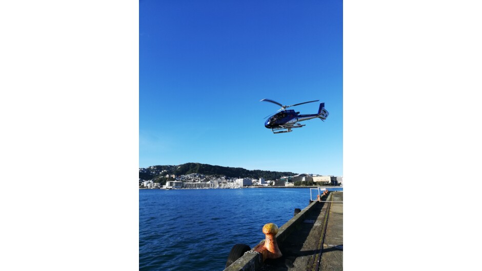 Harbour and city flights in Wellington