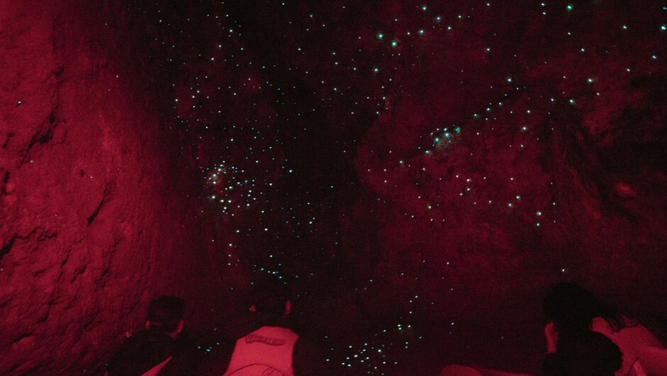 Waitomo Glowworm Caves.