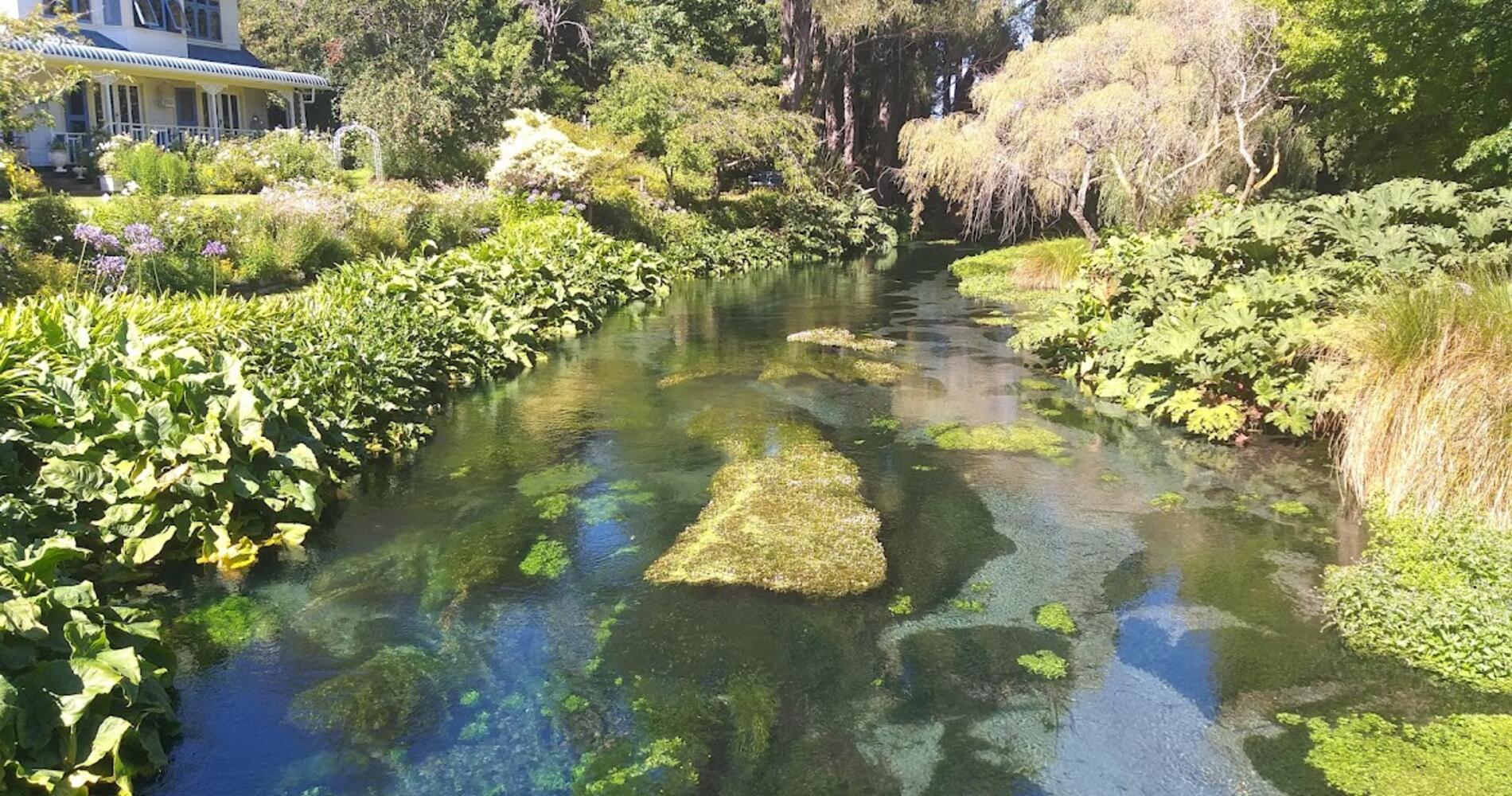Blenheim Corporate Cars Activity in Marlborough, New Zealand