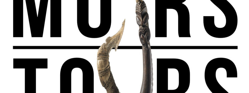 Screen Shot 2023-02-08 at 1.16.02 PM_2.png