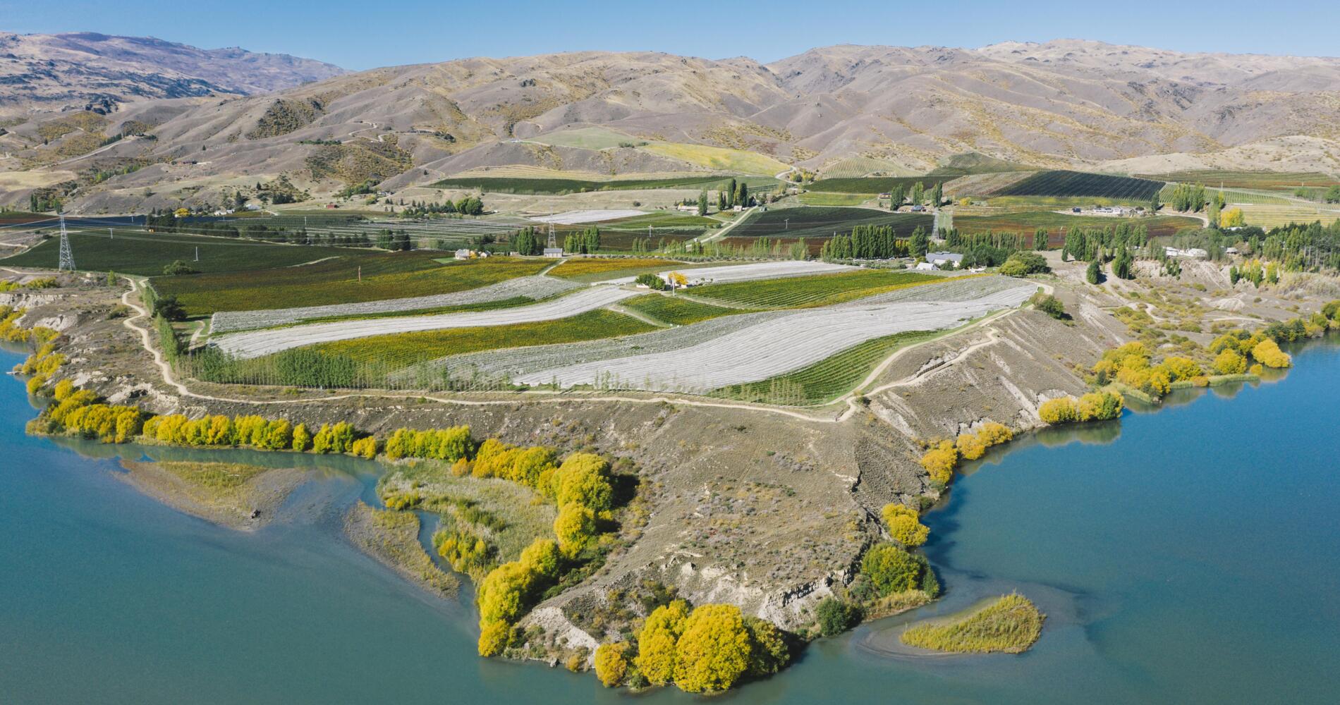Carrick Winery | Activities & Day Trips in Central Otago, New Zealand