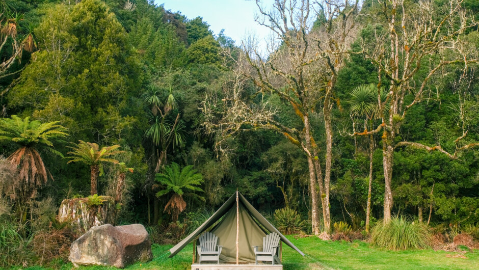 Camp Epic Glamp Tent in Pureora Forest Park
