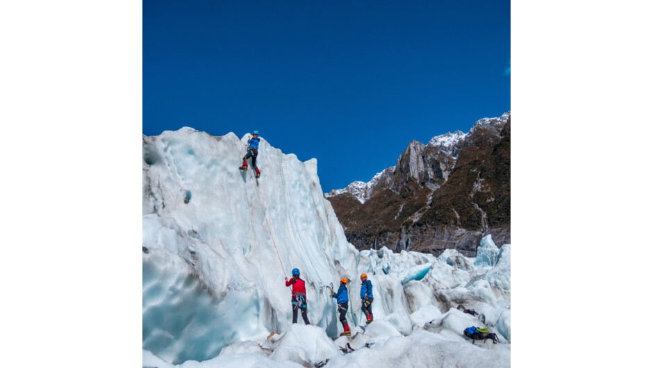 Ice Climbing on the Fox Glacier.
