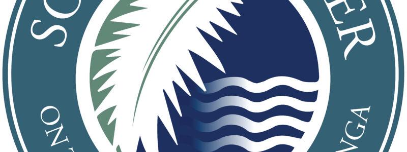 The Blue Logo Graphix.png