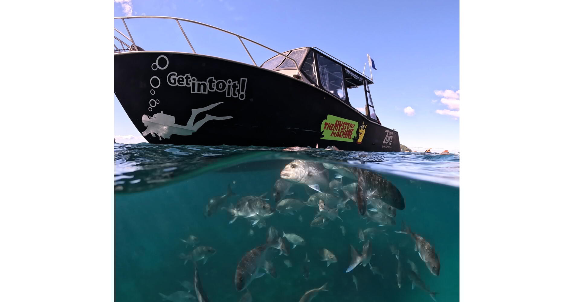 Dive Zone Whitianga Dive the Coromandel With Us Activity in The